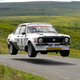 Illustration for article titled DiRT Rally Season Over